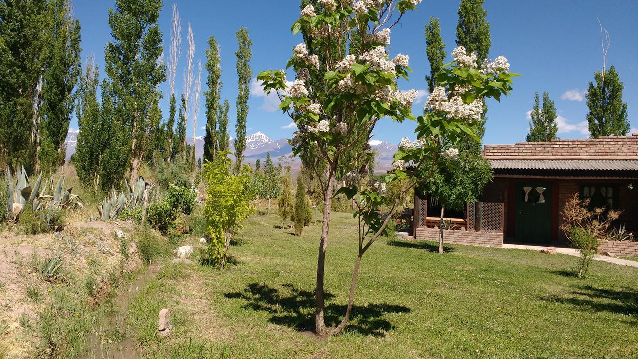 El Aleman Apart otel Barreal Dış mekan fotoğraf